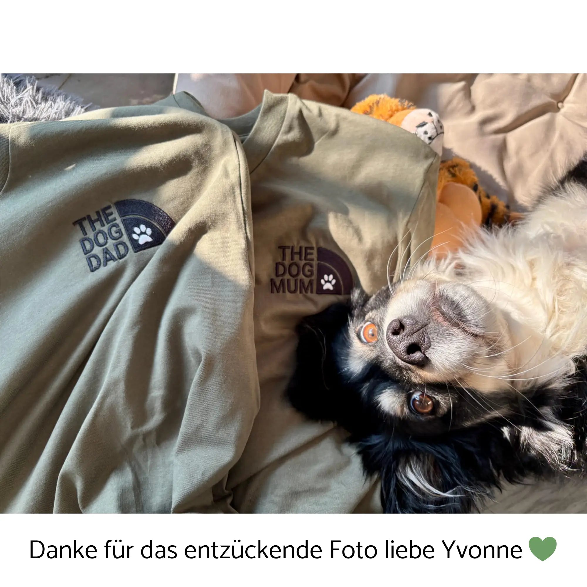 THE DOG PARENTS | Spar Bundle